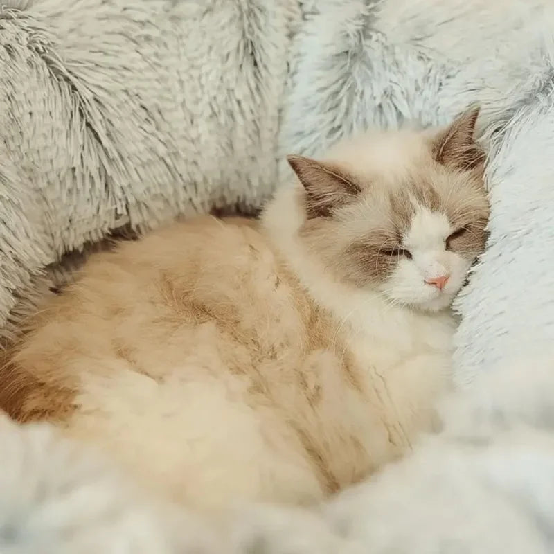 Cozy Cat Tunnel Bed