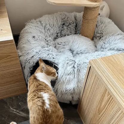 Cozy Cat Tunnel Bed